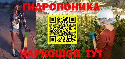 дмт Заволжье