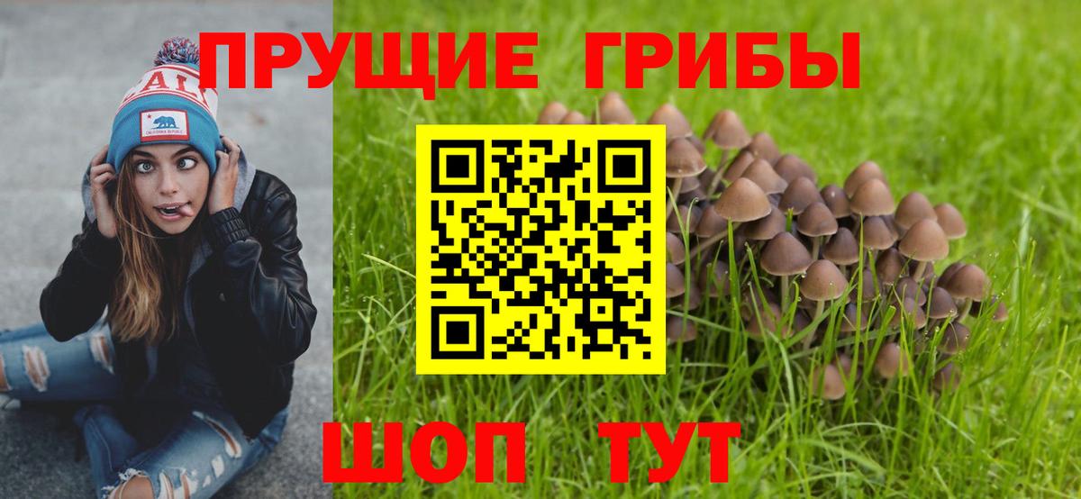 Галлюциногенные грибы мухоморы  Вход с VPN  Фролово 